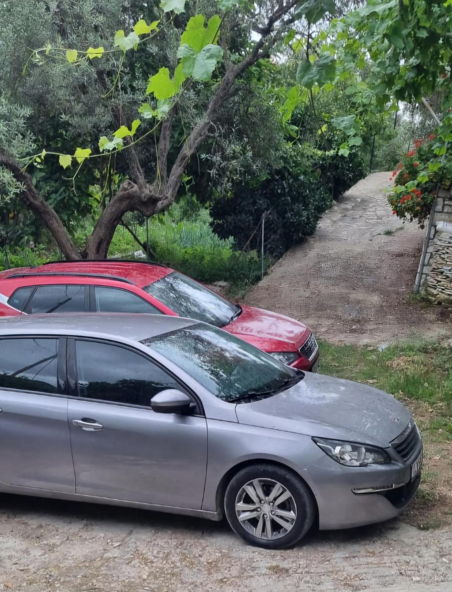 Aria's 2 * Himare